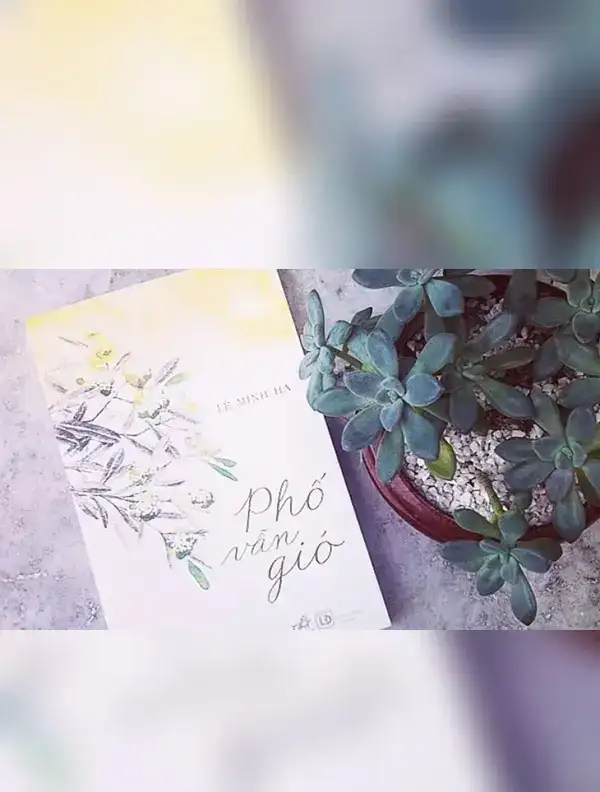 Phố vẫn gió